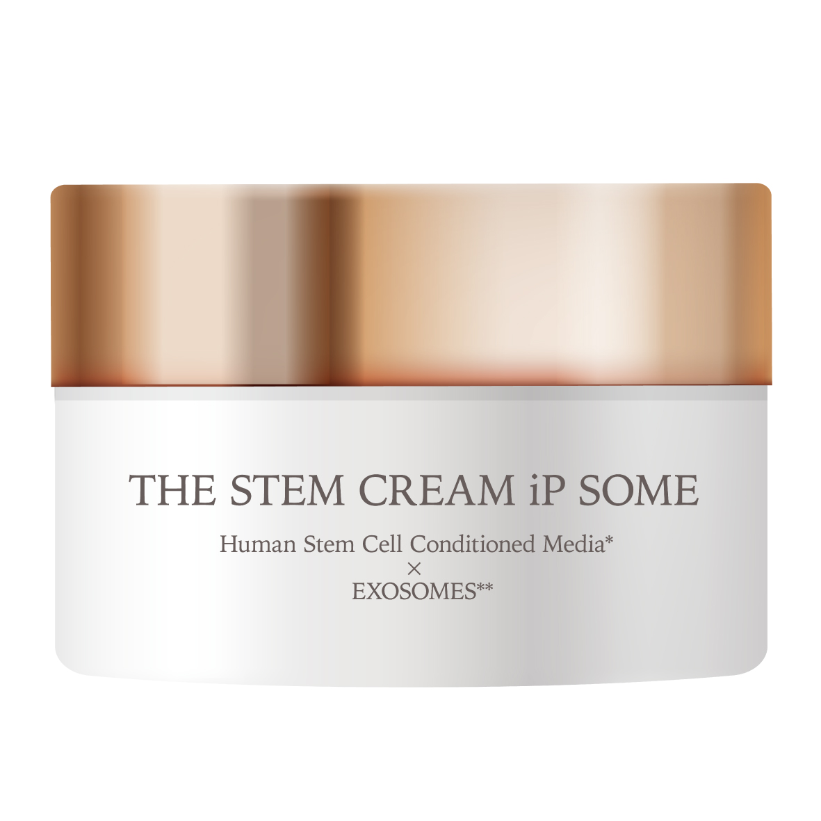 店販用　ザ STMクリーム iP ソーム